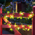 Vine Fairy Lights | Botanical LED String Lights for a Cozy, Dreamy Space
